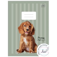 Písankový zošit Puppy Green A4 s pomocnými linajkami
