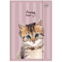 Složka A4 lesklá Puppy Pink