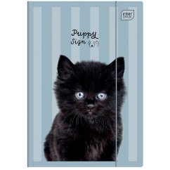 Složka A4 lesklá Puppy Blue
