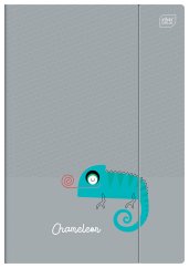 Zložka lesklá Chameleon A4