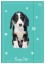 Složka A4 lesklá Puppy Mint