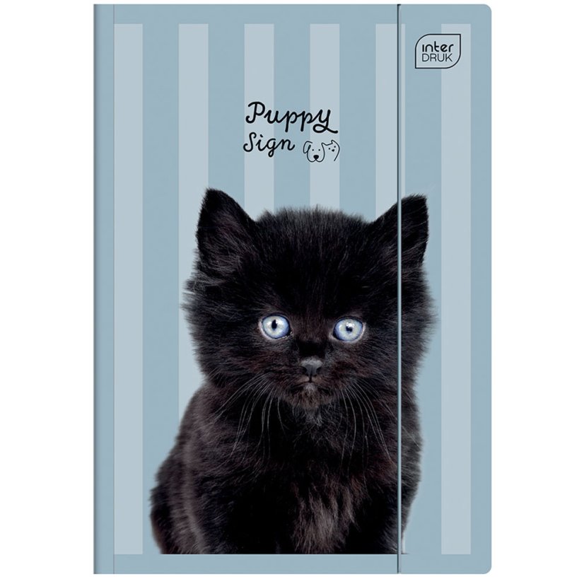 Složka A4 lesklá Puppy Blue