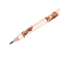 Ceruzka Puppy Beige