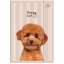 Složka A4 lesklá Puppy Beige