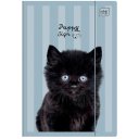 Složka A4 lesklá Puppy Blue