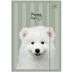 Složka A4 lesklá Puppy Green