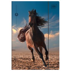 Zložka A4 lesklá Wild Horse