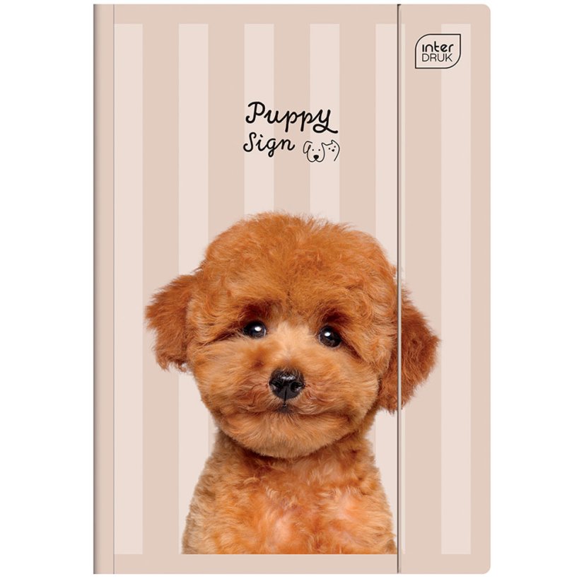 Složka A4 lesklá Puppy Beige