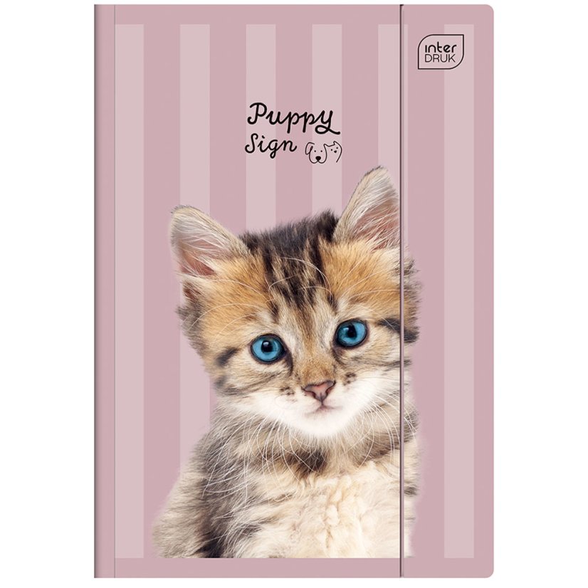 Složka A4 lesklá Puppy Pink