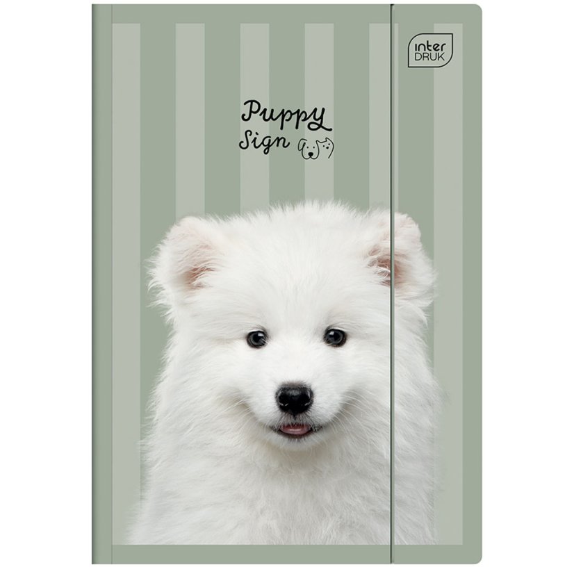 Složka A4 lesklá Puppy Green