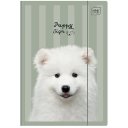 Složka A4 lesklá Puppy Green